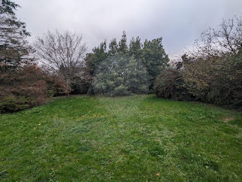 terrain à Sainte-Luce-sur-Loire (44)