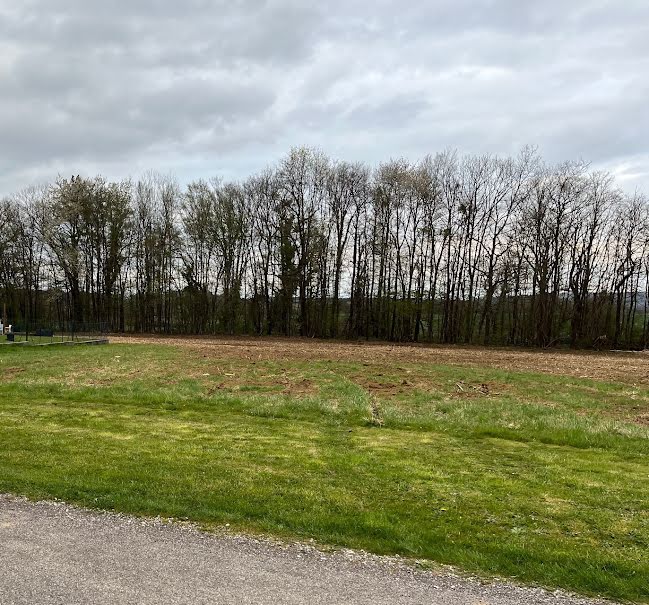 Vente terrain  1210 m² à Larians-et-Munans (70230), 24 000 €