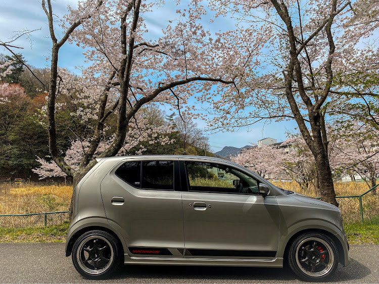 アルトワークスのアルトワークス・HA36S・桜・桜と愛車・ドライブに関するカスタム事例の投稿画像1枚目