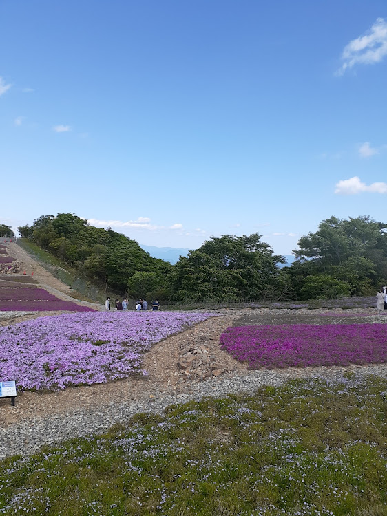 の投稿画像3枚目