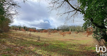 terrain à Bach (46)