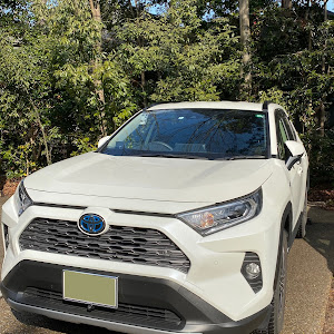 RAV4 AXAH54