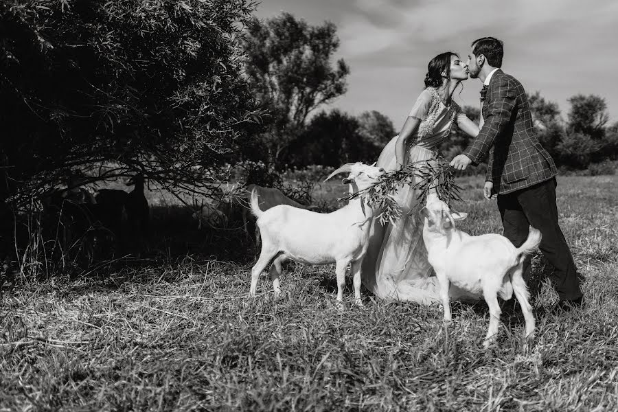 Photographe de mariage Pavel Frank (frank). Photo du 1 mai 2020