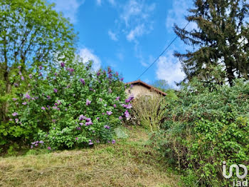 maison à Nivolas-Vermelle (38)