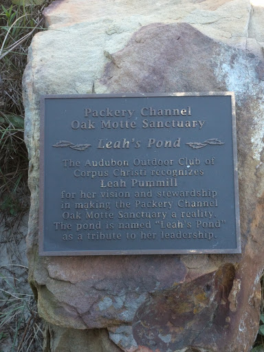 Leah's Pond