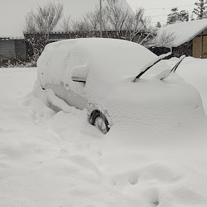 エスティマ ACR50W