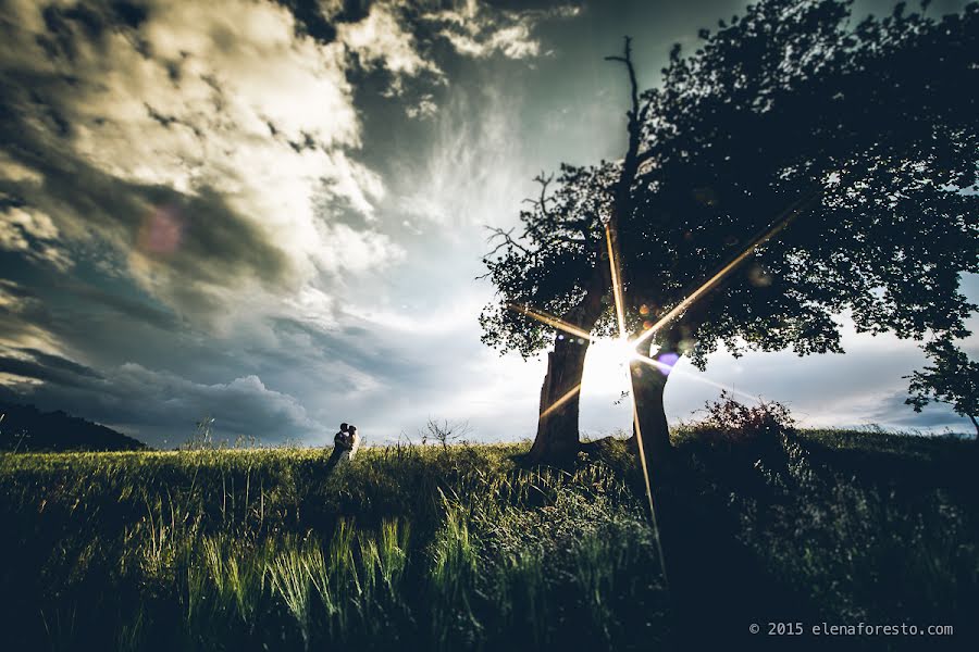 Vestuvių fotografas Elena Foresto (elenaforesto). Nuotrauka 2015 birželio 6