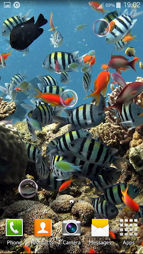 免費下載個人化APP|Aquarium Live Wallpaper app開箱文|APP開箱王