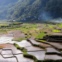 Water fields