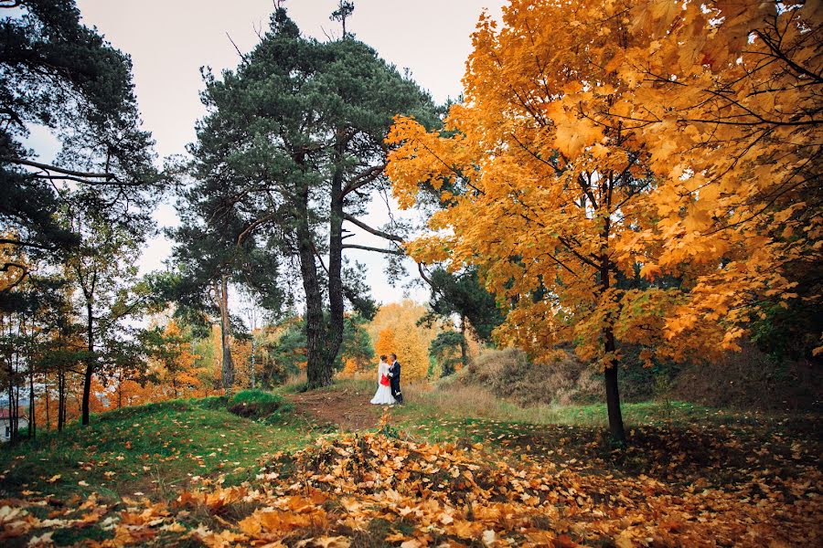 Весільний фотограф Ирина Игнатеня (ignatenya). Фотографія від 18 жовтня 2017