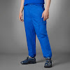 blue version essentials cargo pants team royal blue