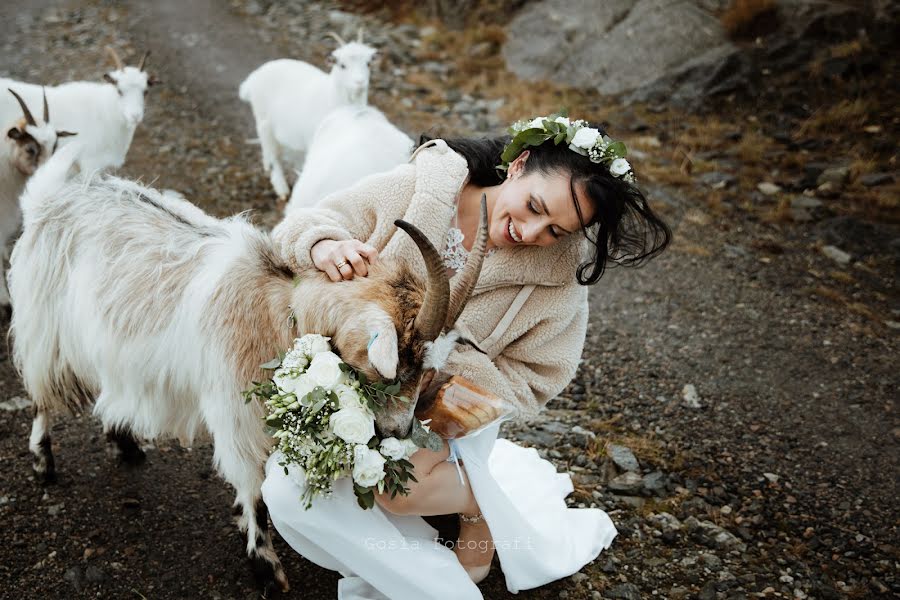 Fotógrafo de bodas Gosia Glogowska-Opyd (gosia). Foto del 9 de noviembre 2023