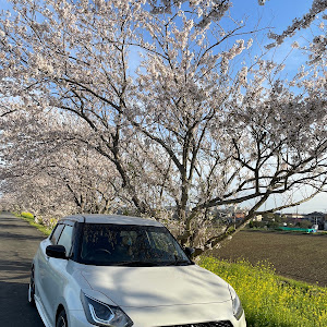 スイフト ZC13S