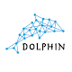 Dolphin Math Download on Windows