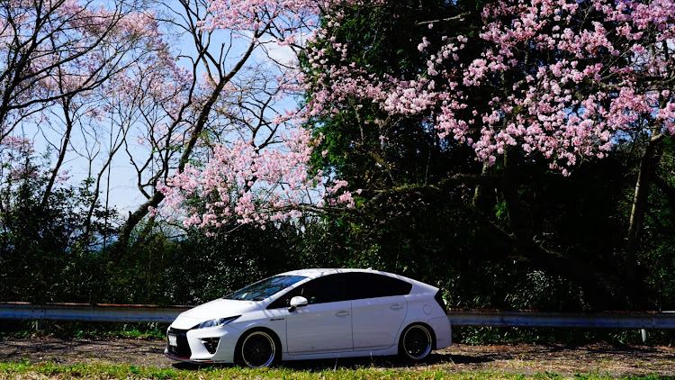プリウスの4月もよろしくお願い致します🌸・桜とコラボ・桜・春ですねに関するカスタム事例の投稿画像2枚目
