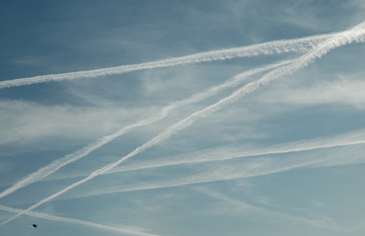 Una Z nel cielo di manu70