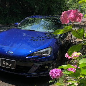 BRZ ZC6