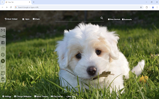 Cute Dogs & Puppies Wallpaper