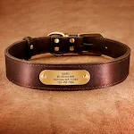 brown collar