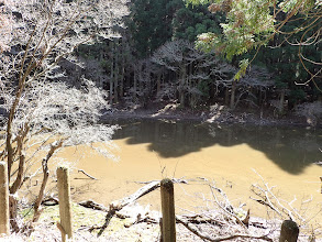 田代池