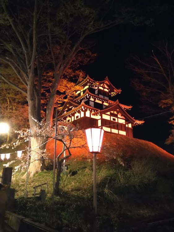 86の夜桜・花見に関するカスタム事例の投稿画像3枚目