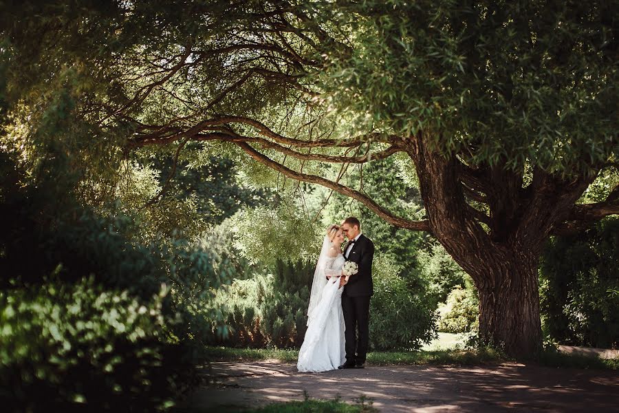 Fotógrafo de casamento Vladimir Ogrizko (vsogrizko). Foto de 26 de agosto 2015