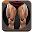 Legs Workout Download on Windows
