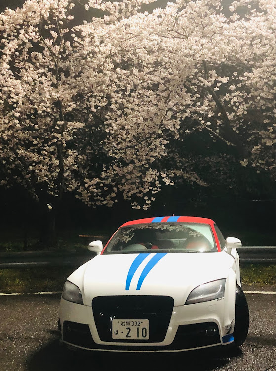 TTの桜とコラボ・桜と愛車・桜・夜桜に関するカスタム事例の投稿画像2枚目