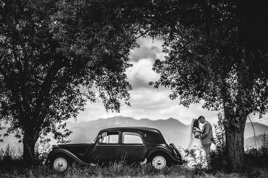 Photographe de mariage Feri Bologa (bologa). Photo du 20 juillet 2017