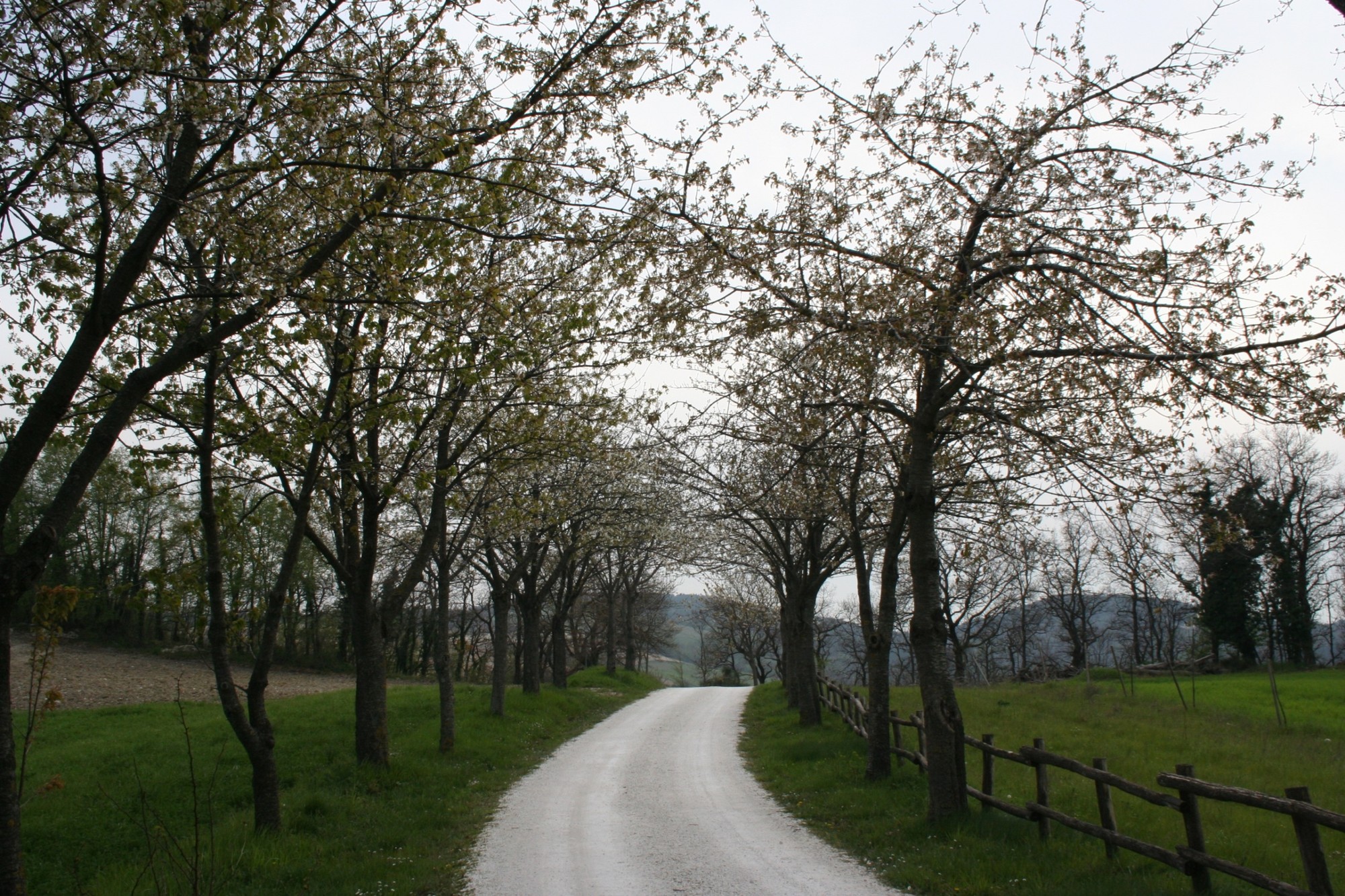 Strada sperduta di utente cancellato