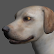 Labrador Pose Tool 3D