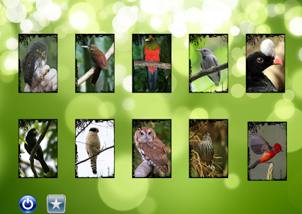 birds sounds Screenshots 2