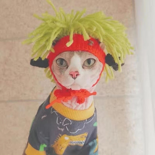 Title 1, Punk Cat Hat Funny Rock Decoration. Add a uniqu...