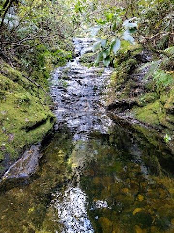 Pinnacles Walk via Webb Creek stream crossing