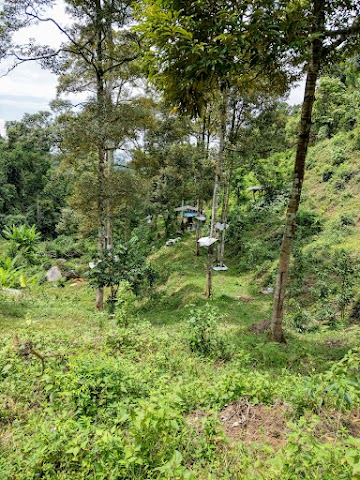 Bukit Bal Durian Farm