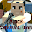 Block Survival: War Download on Windows