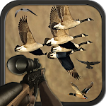 Birds Hunting Sniper Season Apk