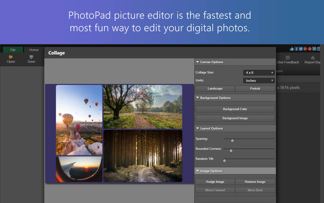 PhotoPad Photo Editor Cloud Edition Preview image 5