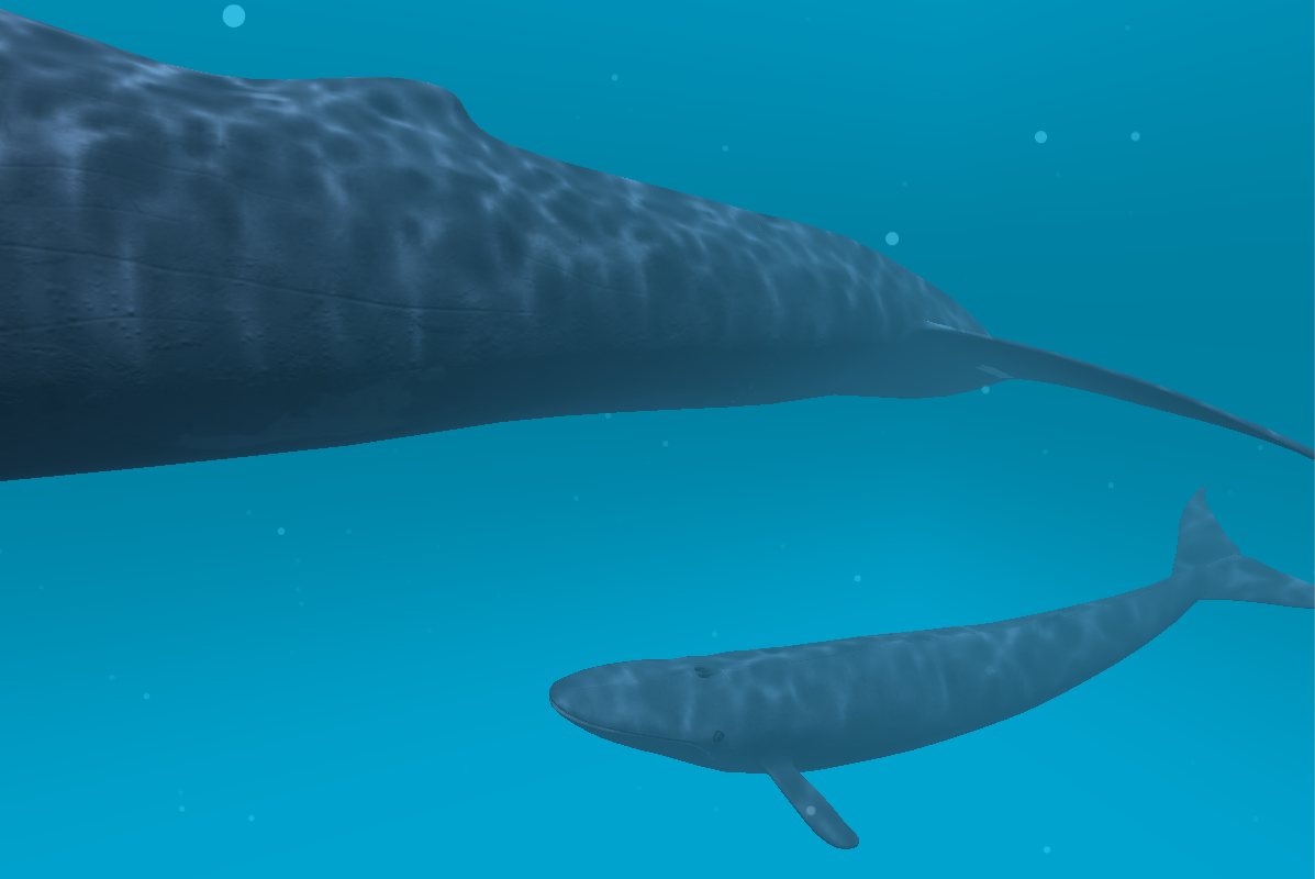   Blue whale VR- 스크린샷 
