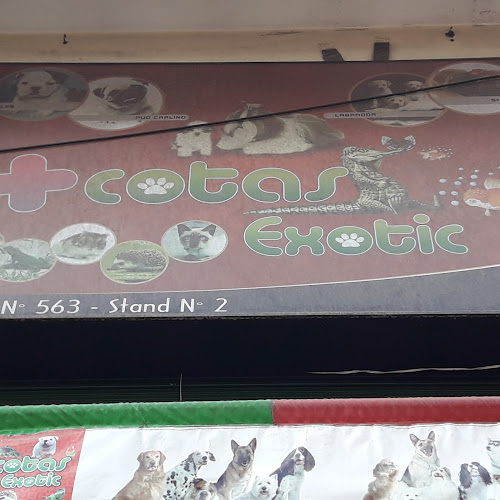 Opiniones de +Cotas Exotic en Huancayo - Veterinario