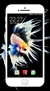 Betta Fish Wallpapers(圖1)-速報App