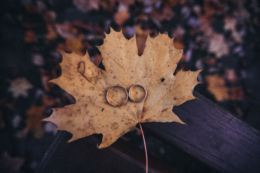 Fotógrafo de casamento Yuliya Chopoydalo (juliachop). Foto de 15 de novembro 2018