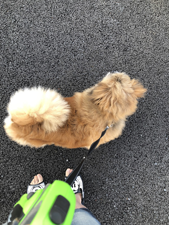 Nボックススラッシュの☀Good Мorning☀・朝活🐶💞・青スラ🚙💭💞に関するカスタム事例の投稿画像5枚目