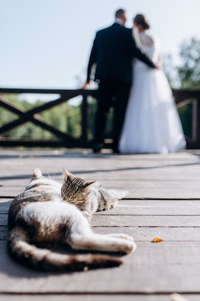 Düğün fotoğrafçısı Natalya Magder (magder). 29 Nisan 2020 fotoları