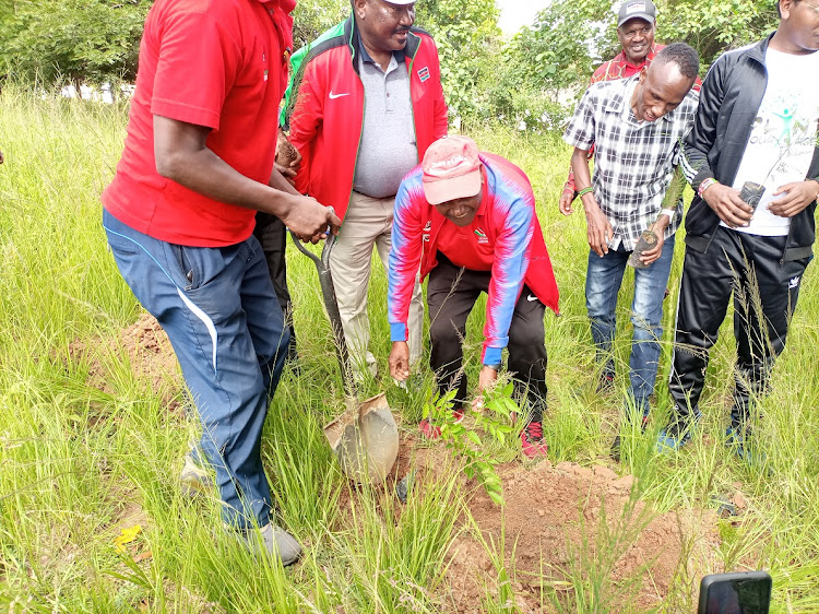 The AK southern branch chairman, Paul Mutwii, plants a tree at the Kitui High School during the cross country event on Saturday, January 7.