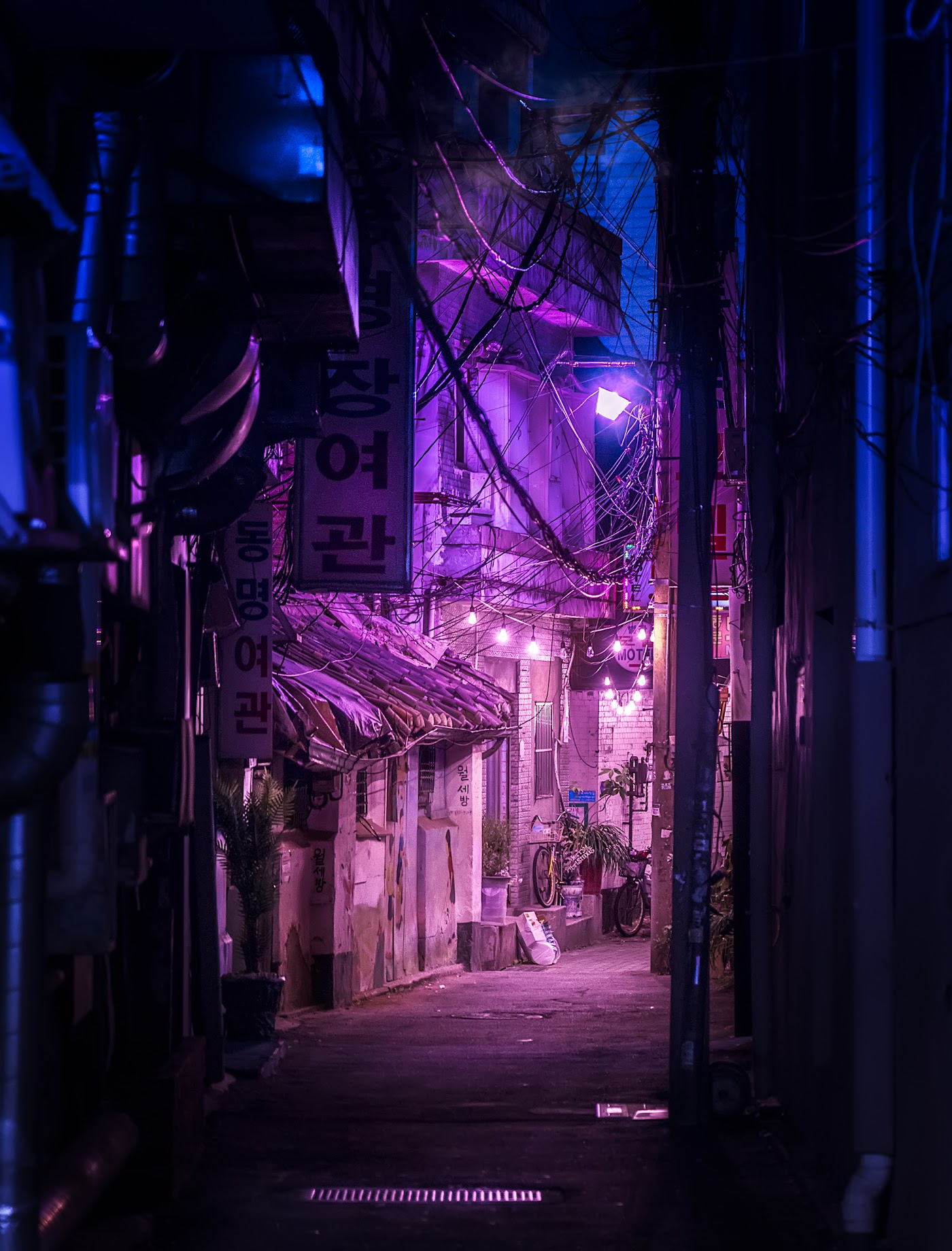 Enigmatic Alley Cyberpunk Night Opensea