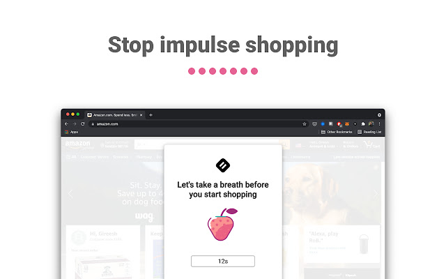 Pause - Stop Impulse Shopping chrome extension