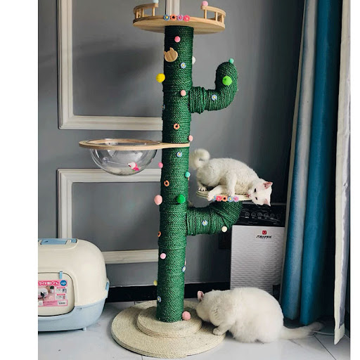 Title 12, Cactus Cat Climbing Frame Self-made DIY Complet...