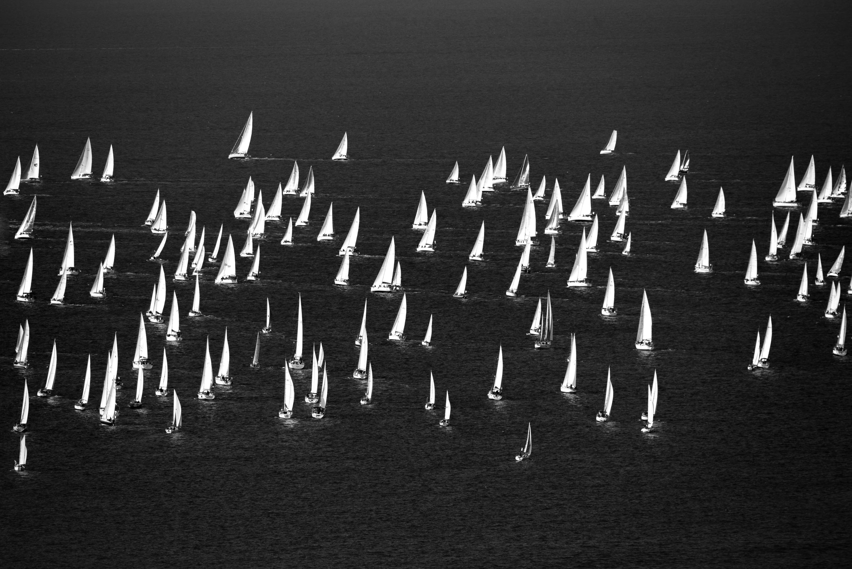 Regata, Barcolana. di Peter_Sossi