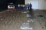 Police with the suspects and some of the harvested plants.